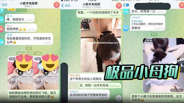 极品小母狗，绿帽骚妻【是小肥羊呀】私拍，约炮单男3P前后夹击，高潮插到痉挛